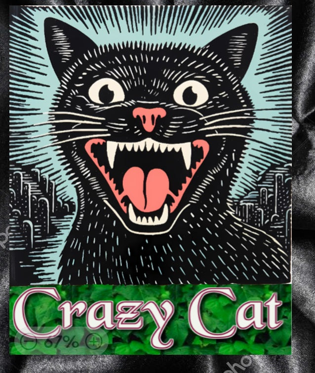 Custom Graphic T-Shirt Crazy cat design