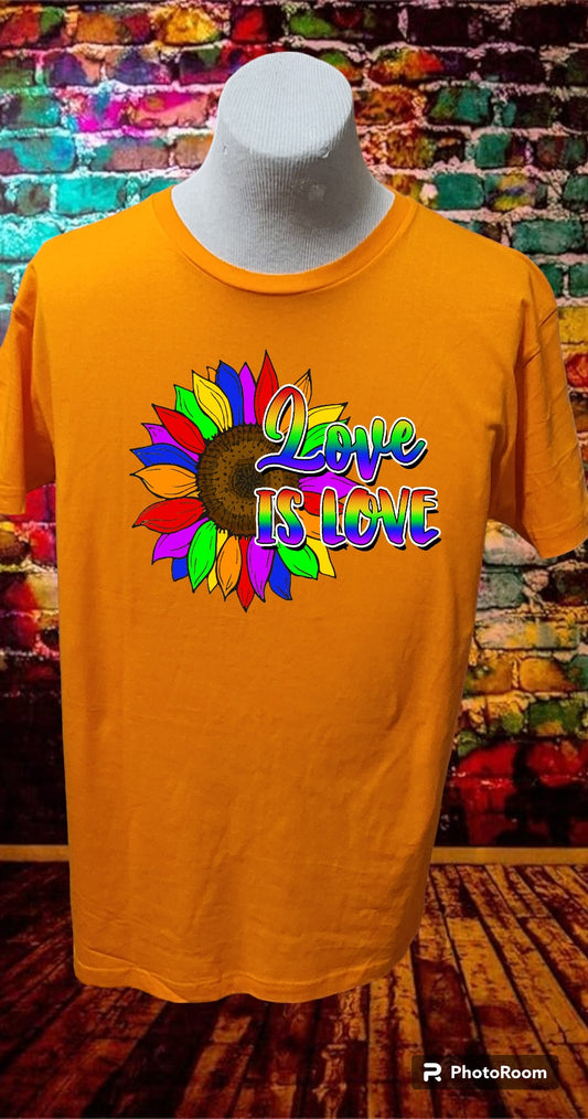 Custom Graphic T-Shirt Love is Love design